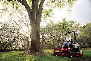 woman riding around the lawn on a riding mower looking for weeds to kill and a big tree in the background